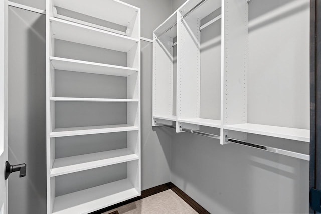 view of walk in closet