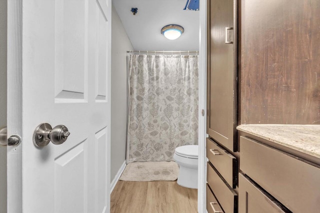 bathroom with curtained shower, vanity, wood-type flooring, and toilet