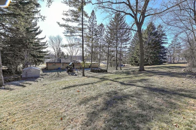 view of yard featuring a storage shed