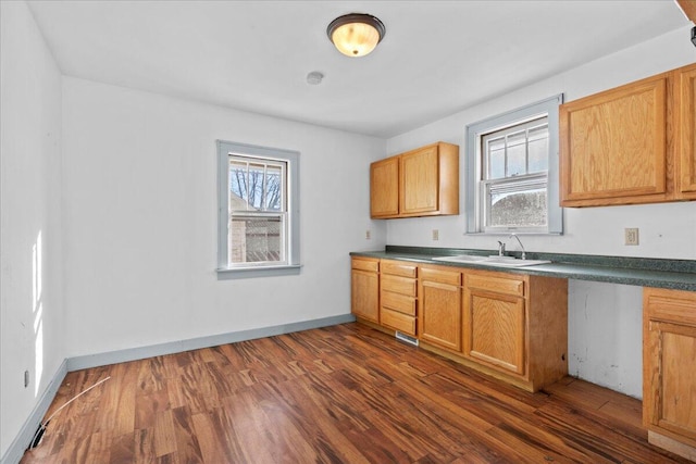 kitchen featuring dark hardwood / wood-style flooring and sink