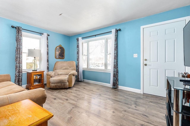 living room featuring light hardwood / wood-style flooring