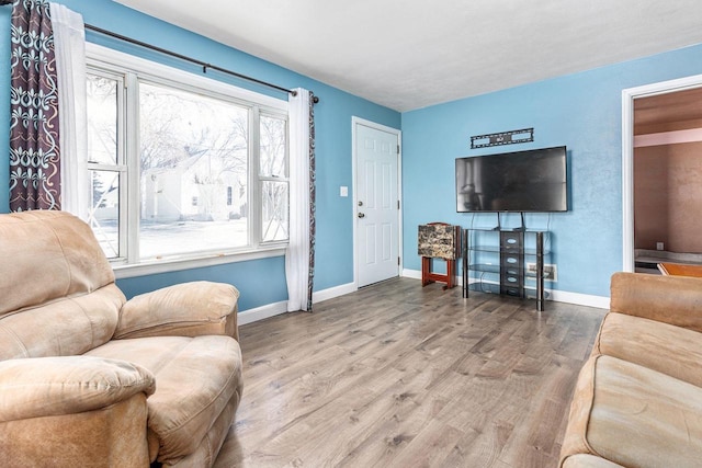 living room featuring hardwood / wood-style floors