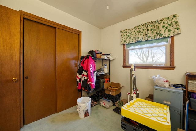 interior space with carpet floors