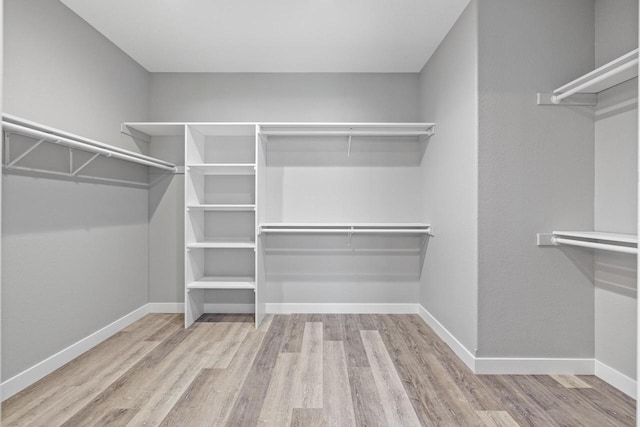 walk in closet featuring wood finished floors