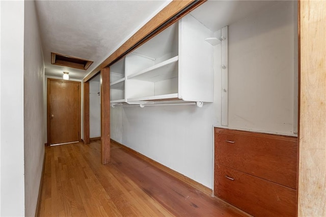 spacious closet with light wood-type flooring