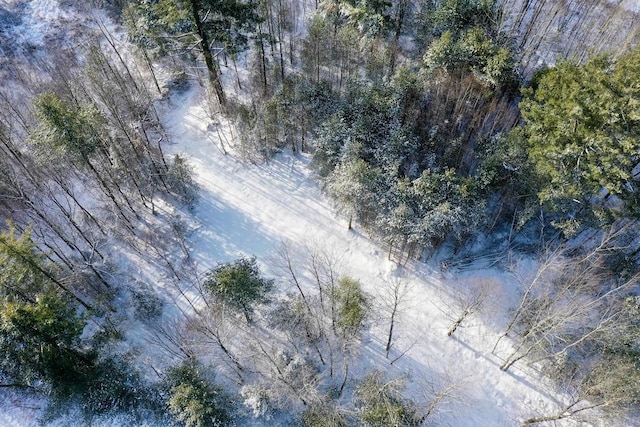 Listing photo 2 for 3.56ACRES Peche Dr, Rib Lake WI 54470