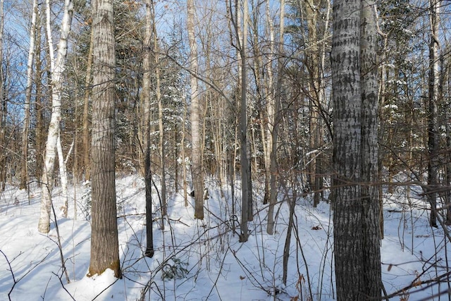 Listing photo 3 for 3.56ACRES Peche Dr, Rib Lake WI 54470