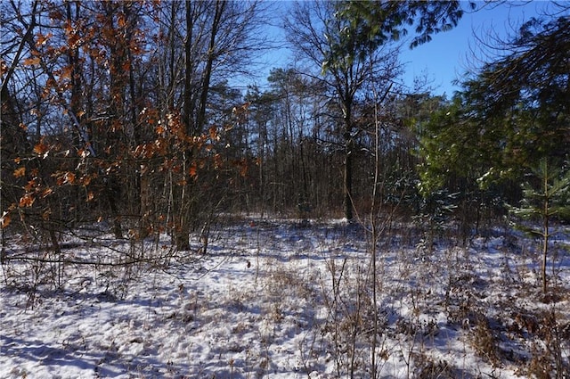 00 Sand, Merrillan WI, 54754 land for sale