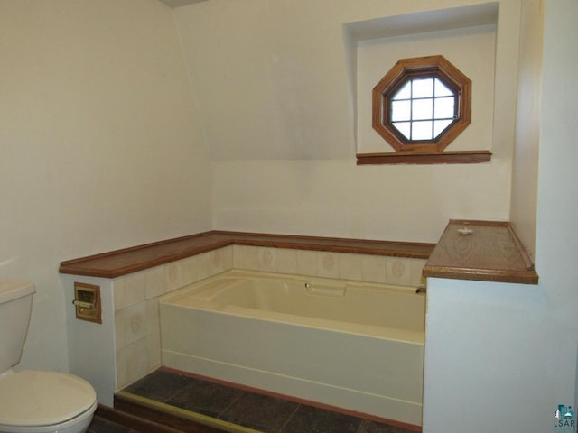 bathroom with toilet and a washtub