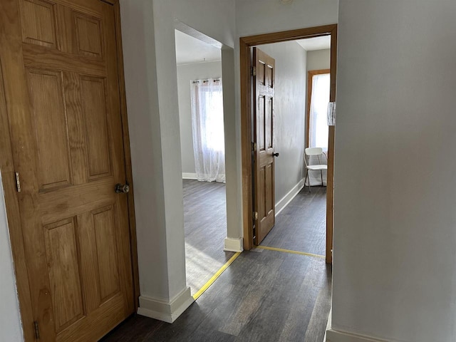 hallway with dark hardwood / wood-style flooring