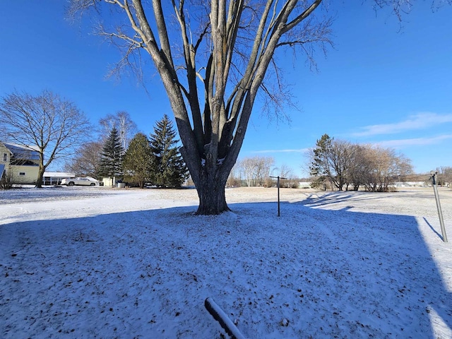 view of snowy yard