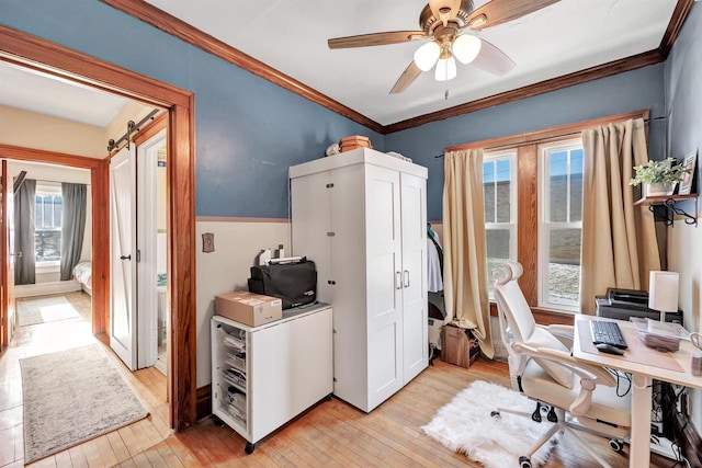 home office with a barn door, light hardwood / wood-style floors, ceiling fan, ornamental molding, and a wealth of natural light