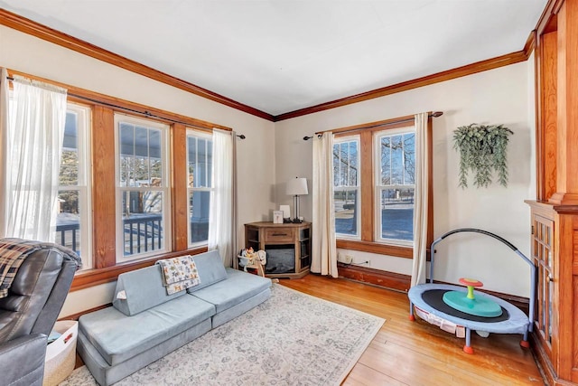 living room with light hardwood / wood-style floors and crown molding