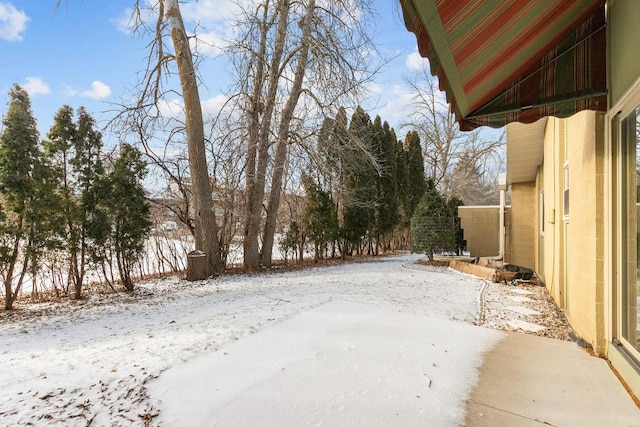 view of yard covered in snow