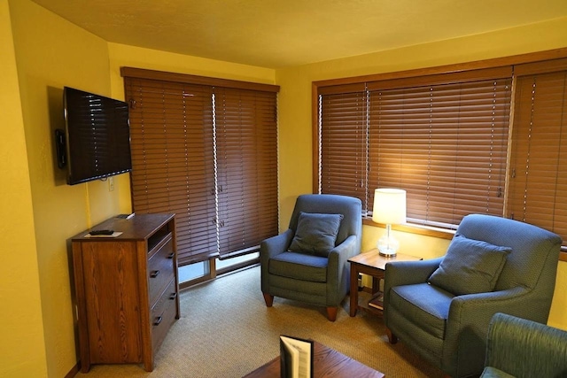 sitting room with light carpet