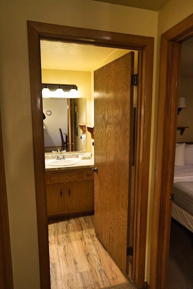 bathroom featuring vanity and hardwood / wood-style floors