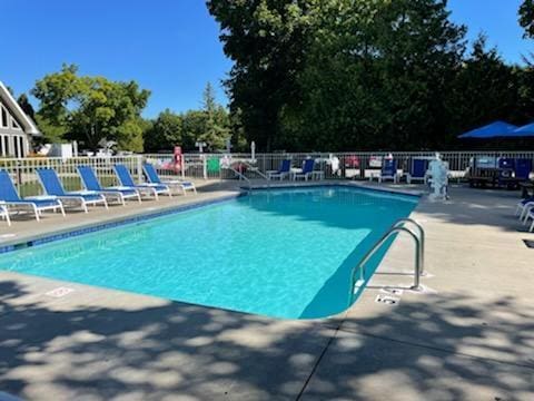 view of swimming pool with a patio area