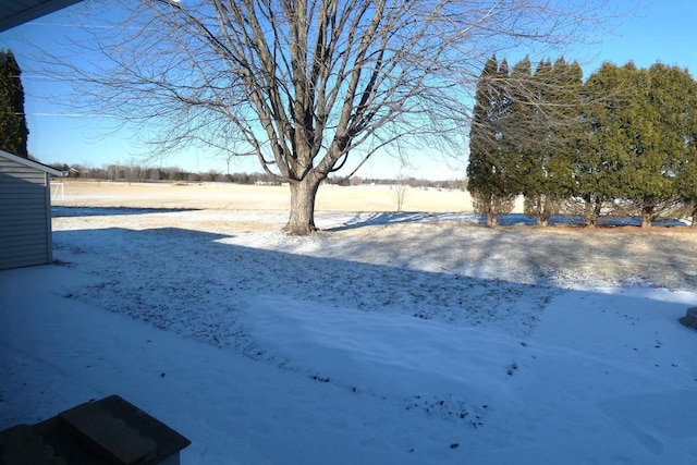 view of snowy yard