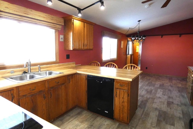 kitchen with vaulted ceiling, pendant lighting, dark hardwood / wood-style floors, sink, and black dishwasher