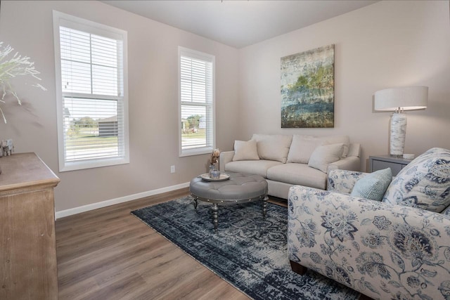 living room with hardwood / wood-style floors