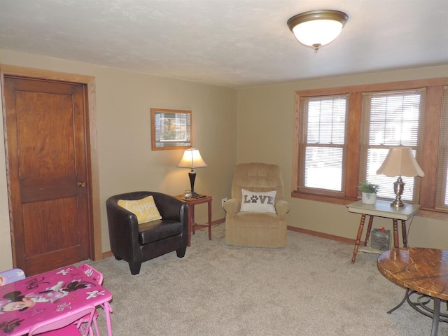 living area with light carpet