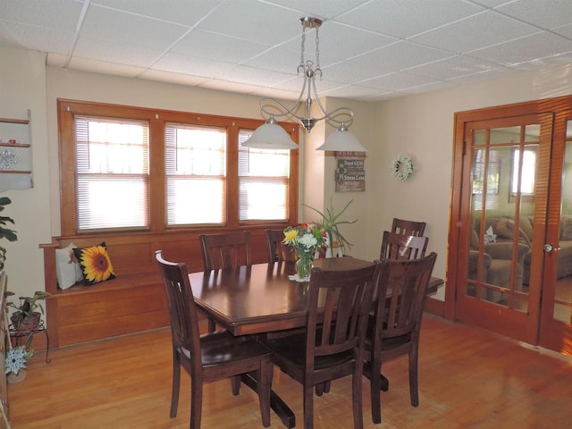 dining space featuring a paneled ceiling, an inviting chandelier, and light hardwood / wood-style flooring