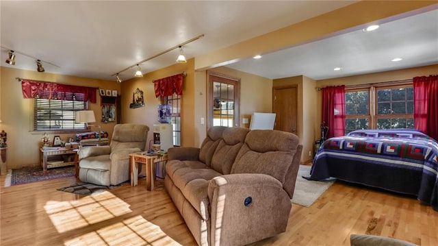 living room featuring a wealth of natural light, track lighting, and light wood-type flooring