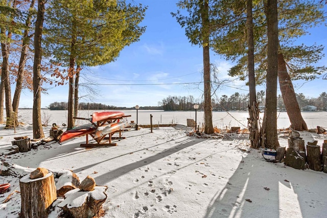 view of yard layered in snow