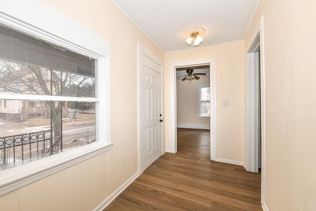 corridor featuring dark wood-type flooring, a textured ceiling, and crown molding