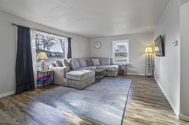 living room with hardwood / wood-style flooring