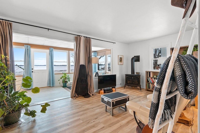 living room featuring light hardwood / wood-style floors, a wood stove, and plenty of natural light