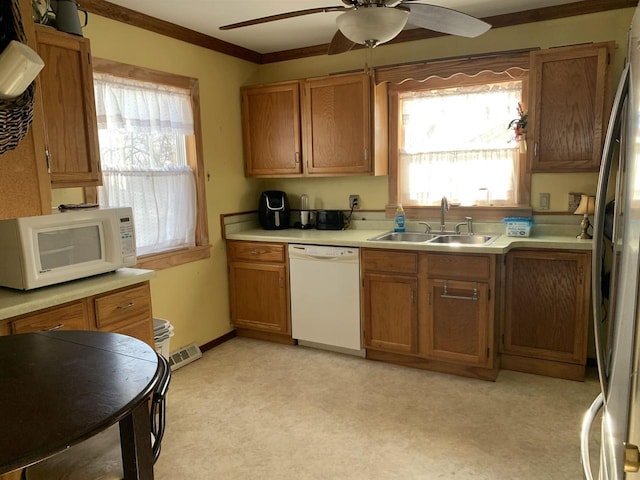 kitchen featuring sink, white appliances, ornamental molding, and a wealth of natural light