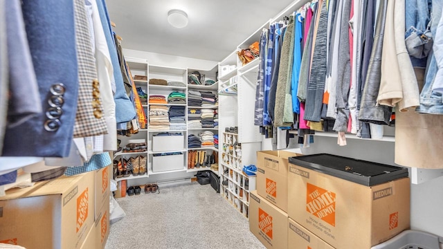 spacious closet with carpet