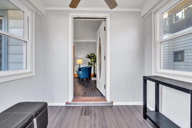 view of exterior entry featuring ceiling fan