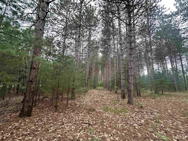 52/-ACRES Happersett Ln, Redgranite WI, 54970 land for sale