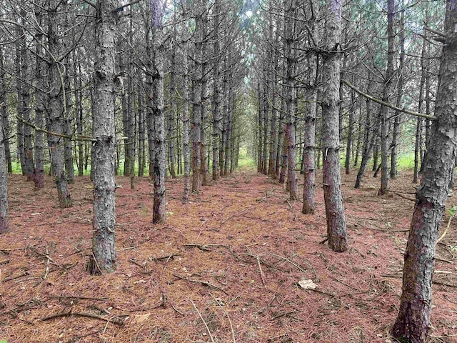 Listing photo 2 for 52/-ACRES Happersett Ln, Redgranite WI 54970