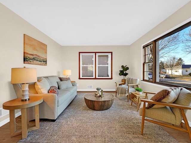 living room featuring wood-type flooring