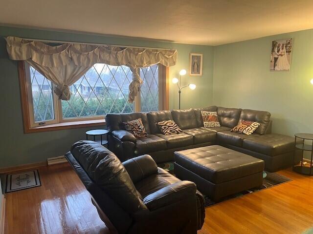 living room with wood-type flooring