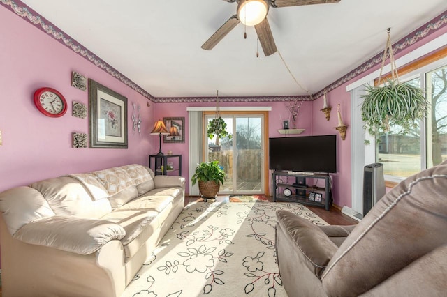 living room with ceiling fan and hardwood / wood-style floors