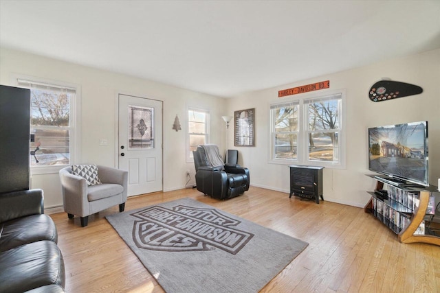 living room with light wood-type flooring and a wood stove