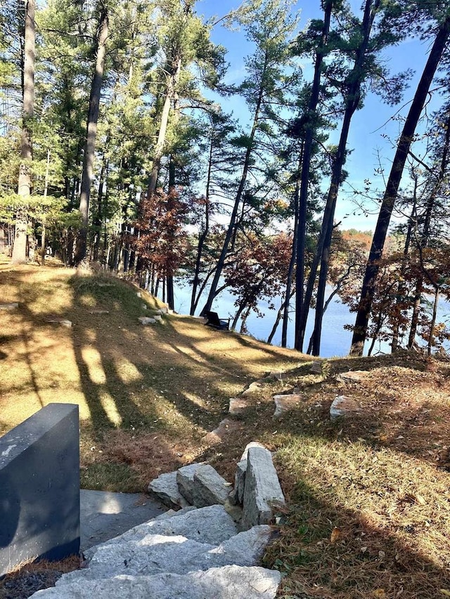 view of yard featuring a water view