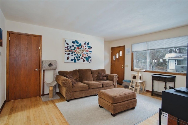 living room featuring light wood-type flooring