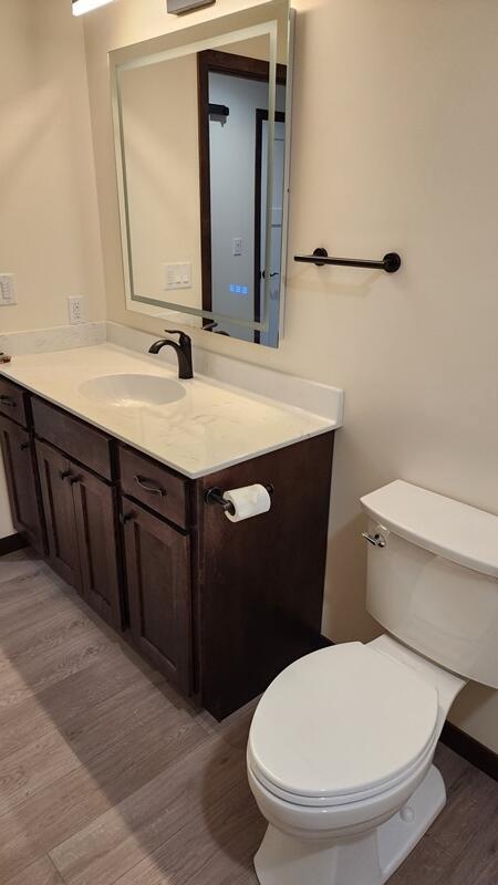 bathroom with toilet, vanity, and wood-type flooring