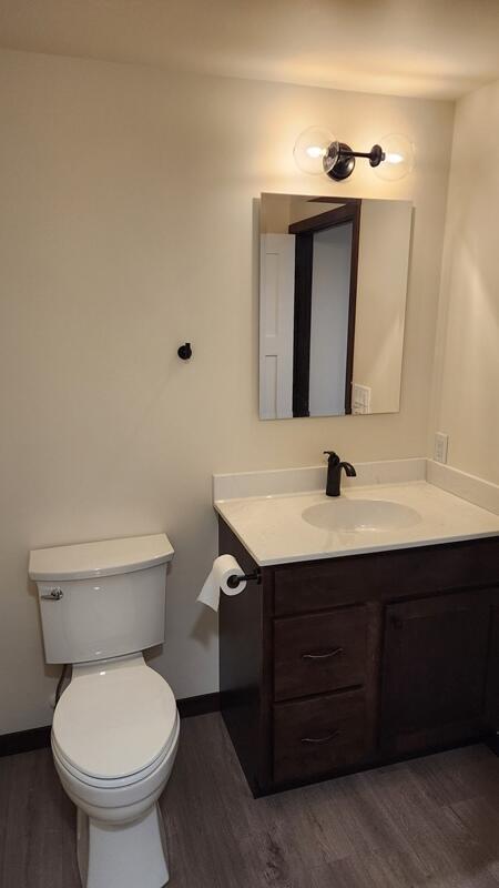 bathroom with toilet, vanity, and wood-type flooring