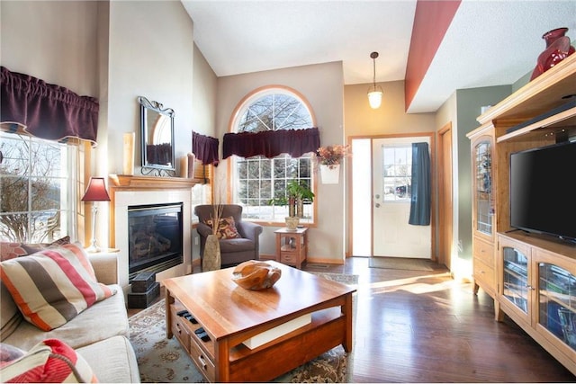 living room featuring lofted ceiling, dark hardwood / wood-style flooring, and a fireplace