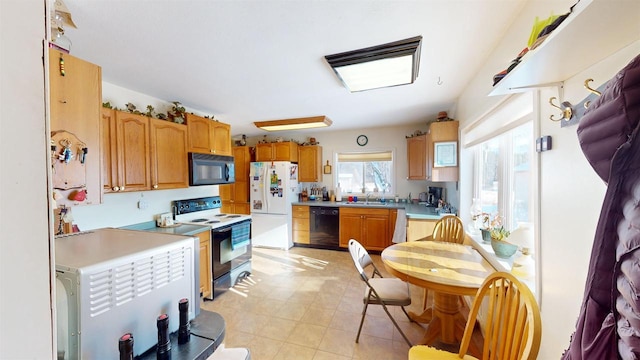 kitchen with black appliances and sink