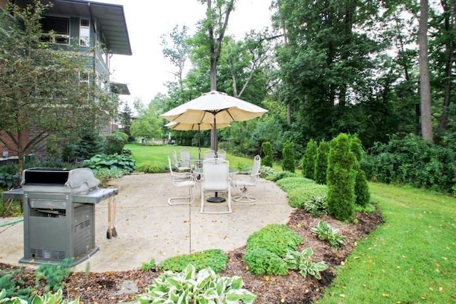 view of patio with area for grilling