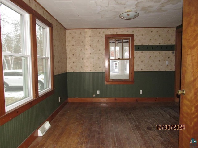 empty room featuring a healthy amount of sunlight and dark wood-type flooring