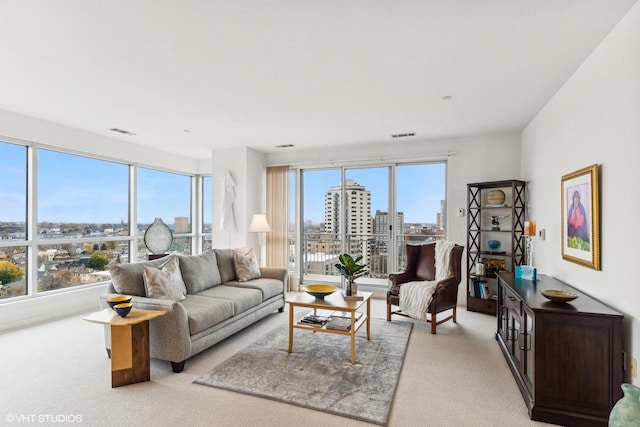 view of carpeted living room