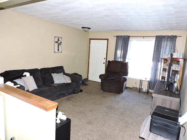 carpeted living room with a textured ceiling